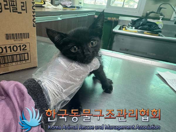 한국동물구조관리협회_441560202400796